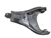 Front lower control arm/wishbone