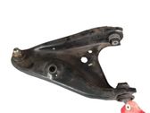 Front lower control arm/wishbone