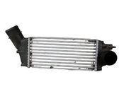 Intercooler radiator