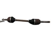 Rear driveshaft