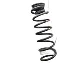 Rear coil spring
