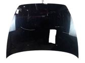 Engine bonnet/hood