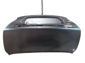Tailgate/trunk/boot lid