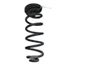 Rear coil spring
