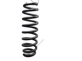 Rear coil spring