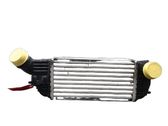 Intercooler radiator