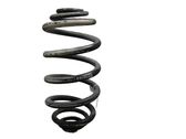 Muelle espiral trasero