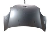 Engine bonnet/hood