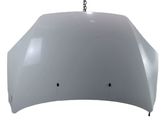 Engine bonnet/hood