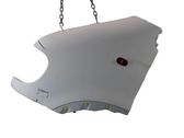 Guardabarro