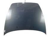 Engine bonnet/hood