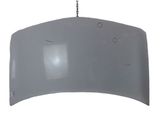 Engine bonnet/hood