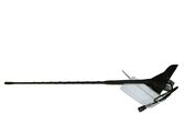 Radion antenni