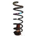 Rear coil spring