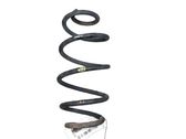 Rear coil spring