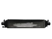 Intercooler radiator