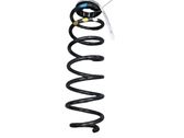 Rear coil spring