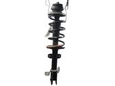 Front shock absorber/damper
