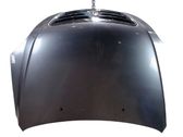 Engine bonnet/hood