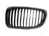 Front bumper upper radiator grill