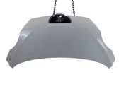 Engine bonnet/hood