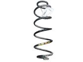 Muelle espiral trasero
