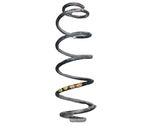 Muelle espiral trasero