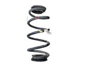 Rear coil spring