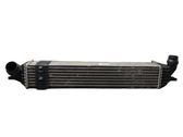 Intercooler radiator