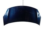 Motorhaube