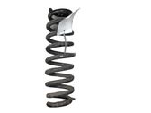 Rear coil spring