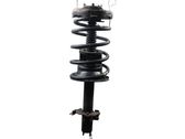Front shock absorber/damper