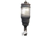 Rear shock absorber/damper