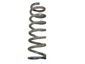 Rear coil spring