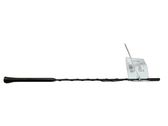 Radion antenni