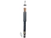 Rear shock absorber/damper