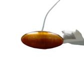 Front fender indicator light