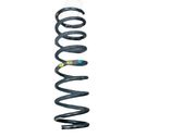 Rear coil spring