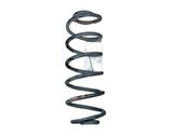 Rear coil spring