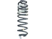 Rear coil spring
