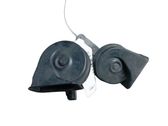 Horn signal
