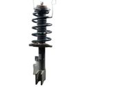 Front shock absorber/damper