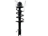 Front shock absorber/damper