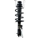 Front shock absorber/damper