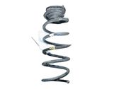 Rear coil spring