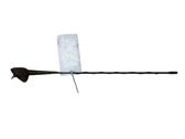 Radion antenni
