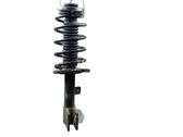 Front shock absorber/damper