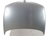 Engine bonnet/hood