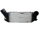 Intercooler radiator