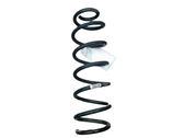 Rear coil spring